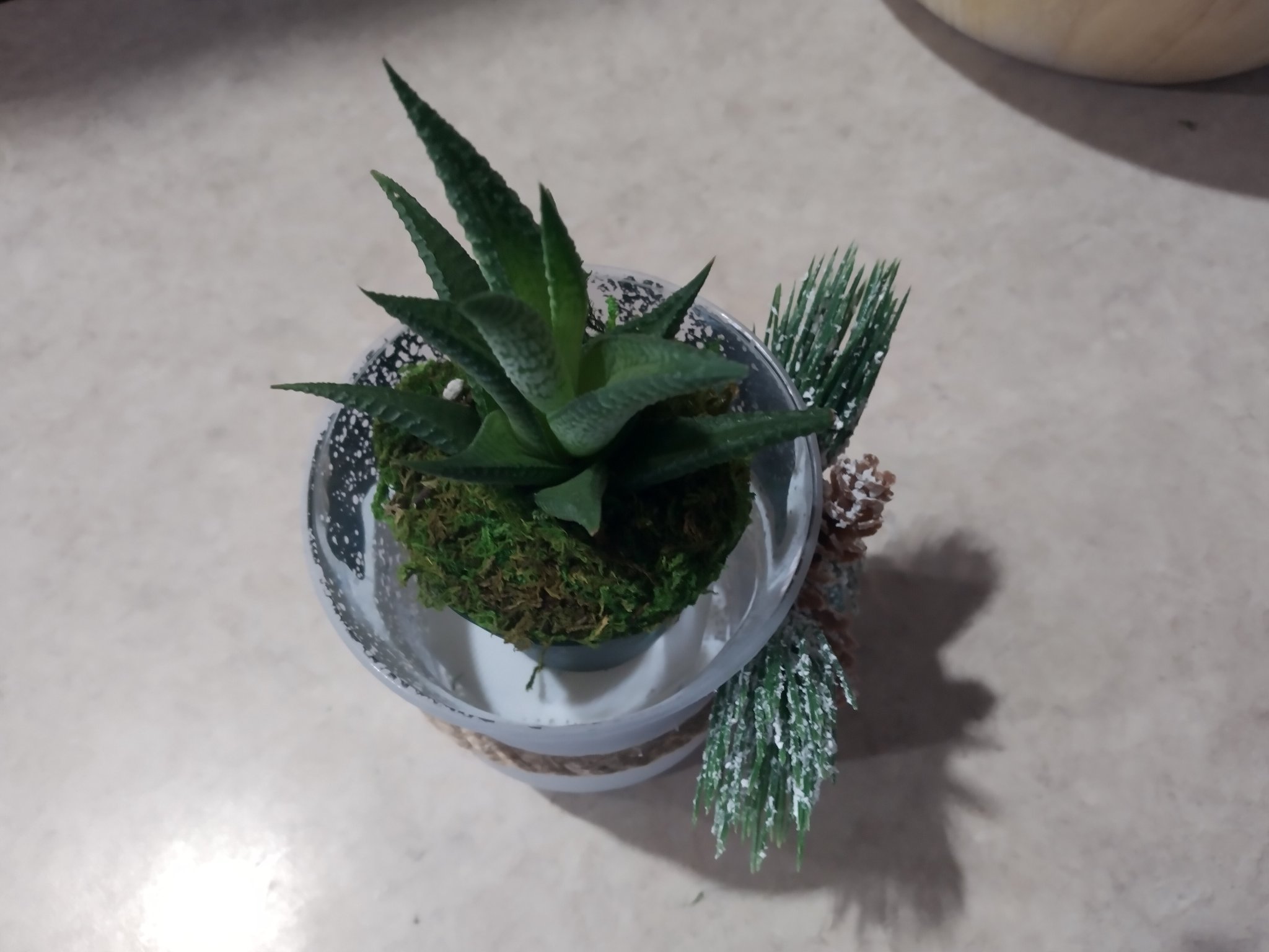 Inner Plant Platform