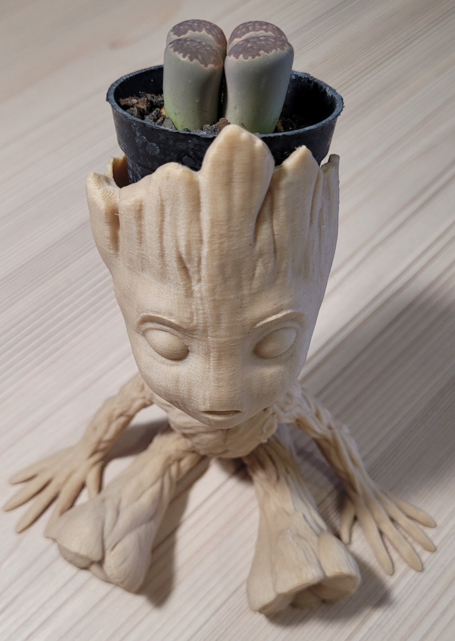 Tiêu đề Bé Groot chậu trồng cây Tổng hợp Chậu trồng cây Ba