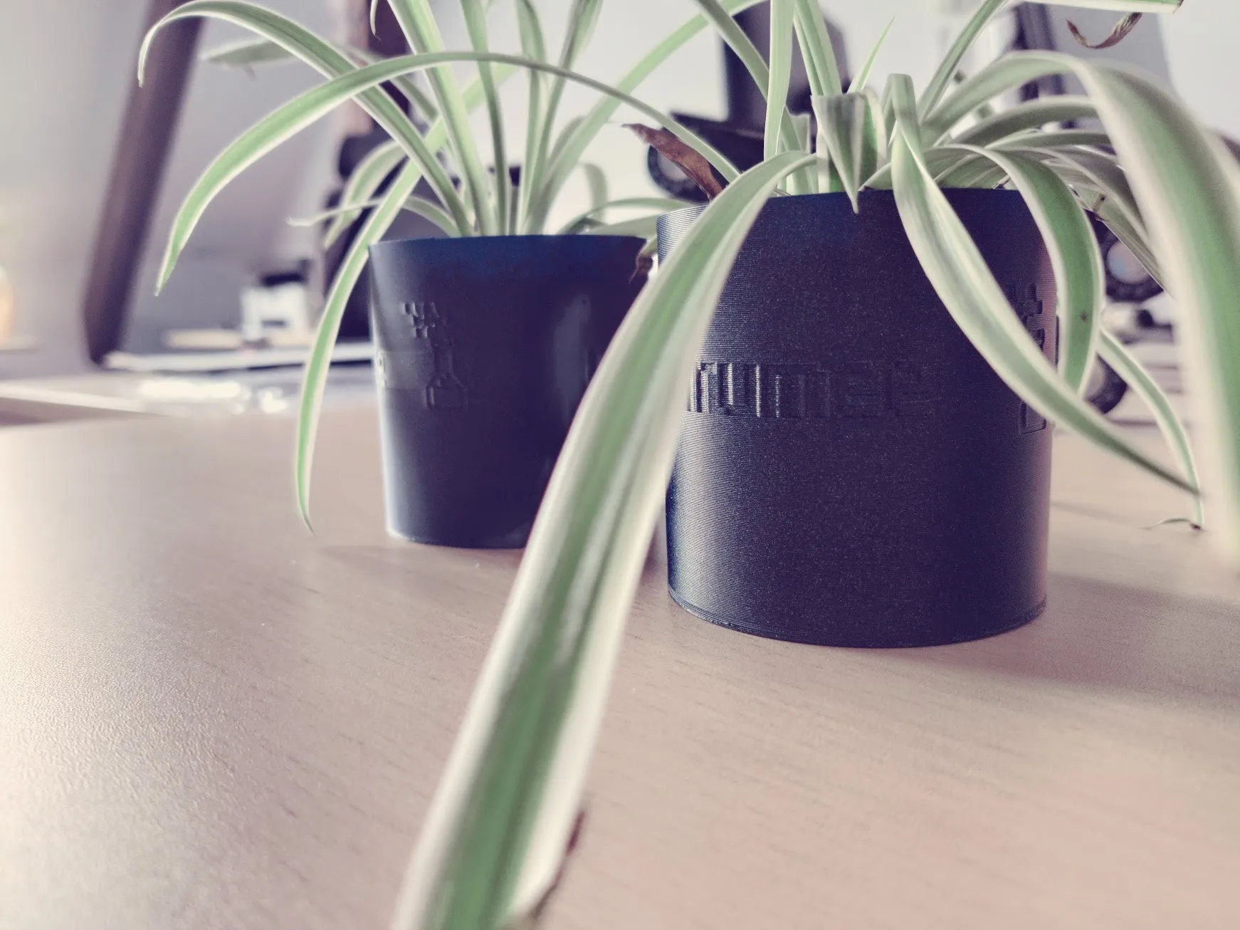 Tiêu đề Người trồng cây Mirumee Tóm tắt Chỉ là một chậu t