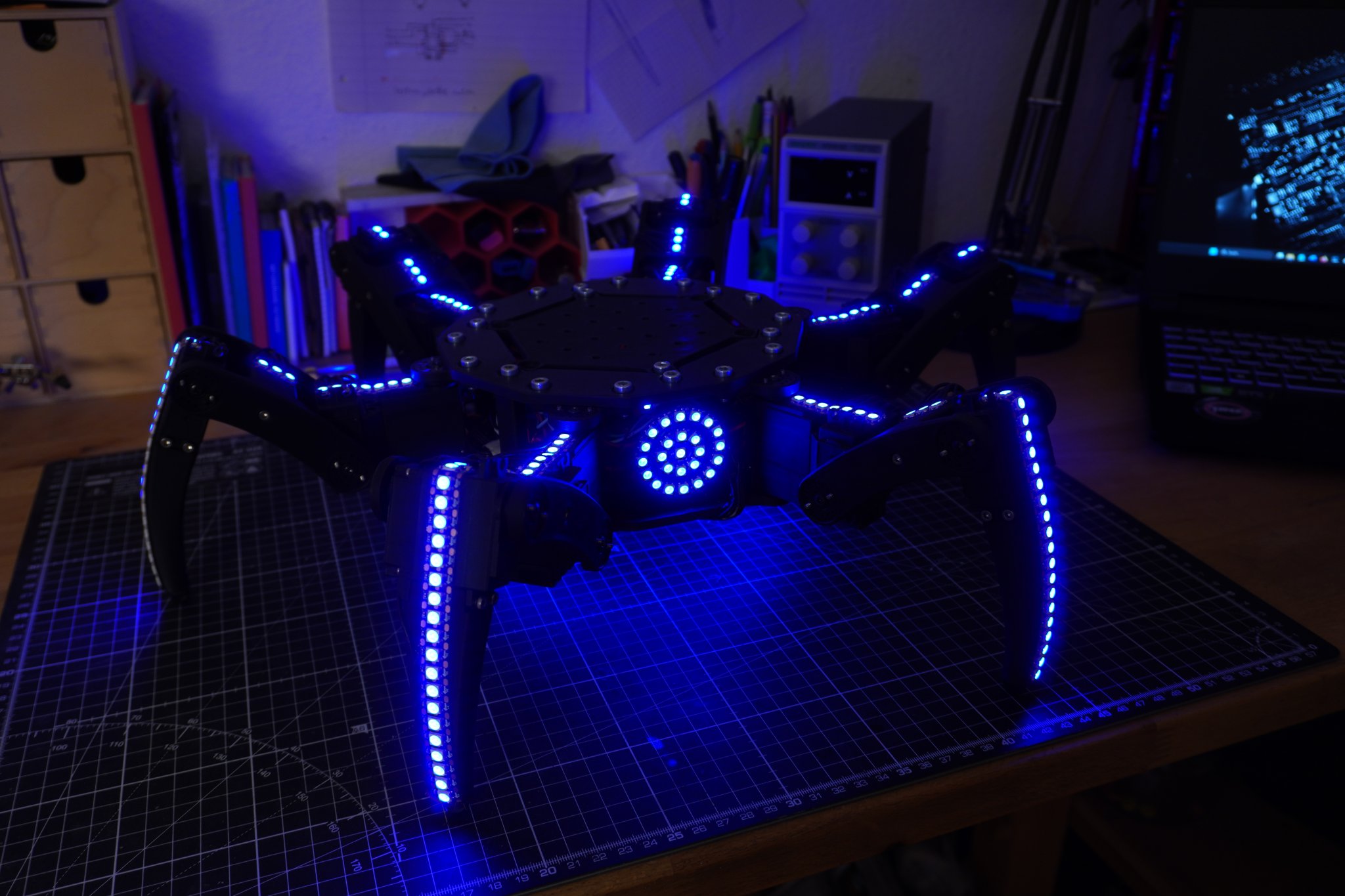 3D Printed Hexapod
