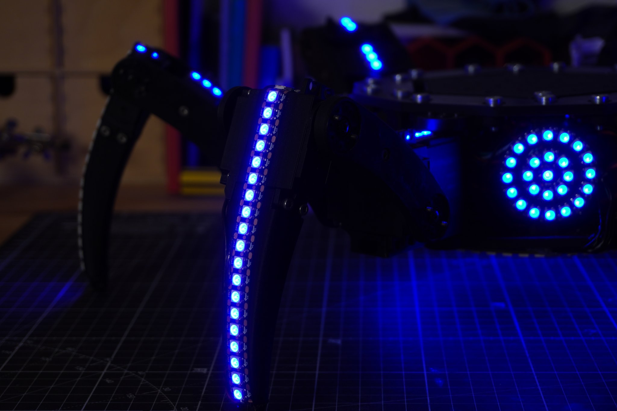 3D Printed Hexapod