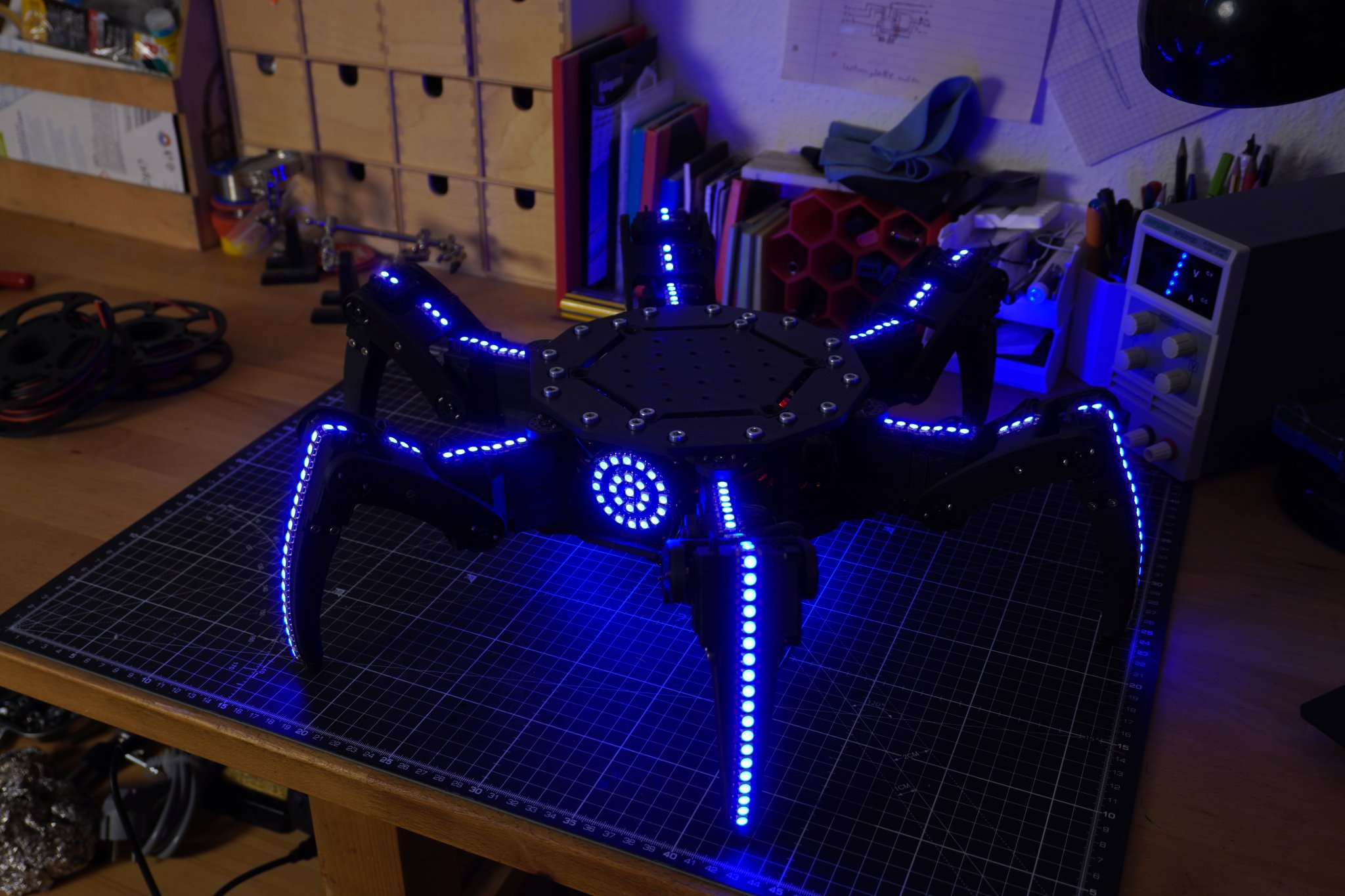 3D Printed Hexapod