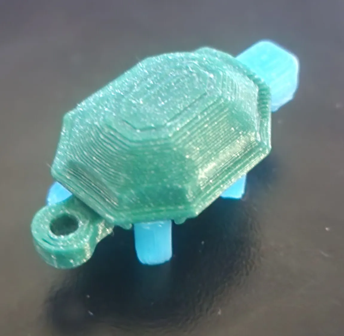 Đuôi Rùa Cứng Cáp