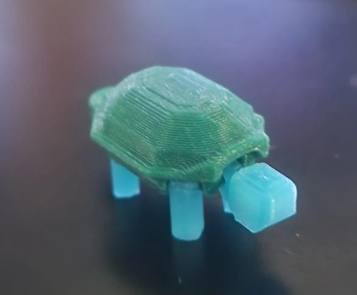 Đuôi Rùa Cứng Cáp