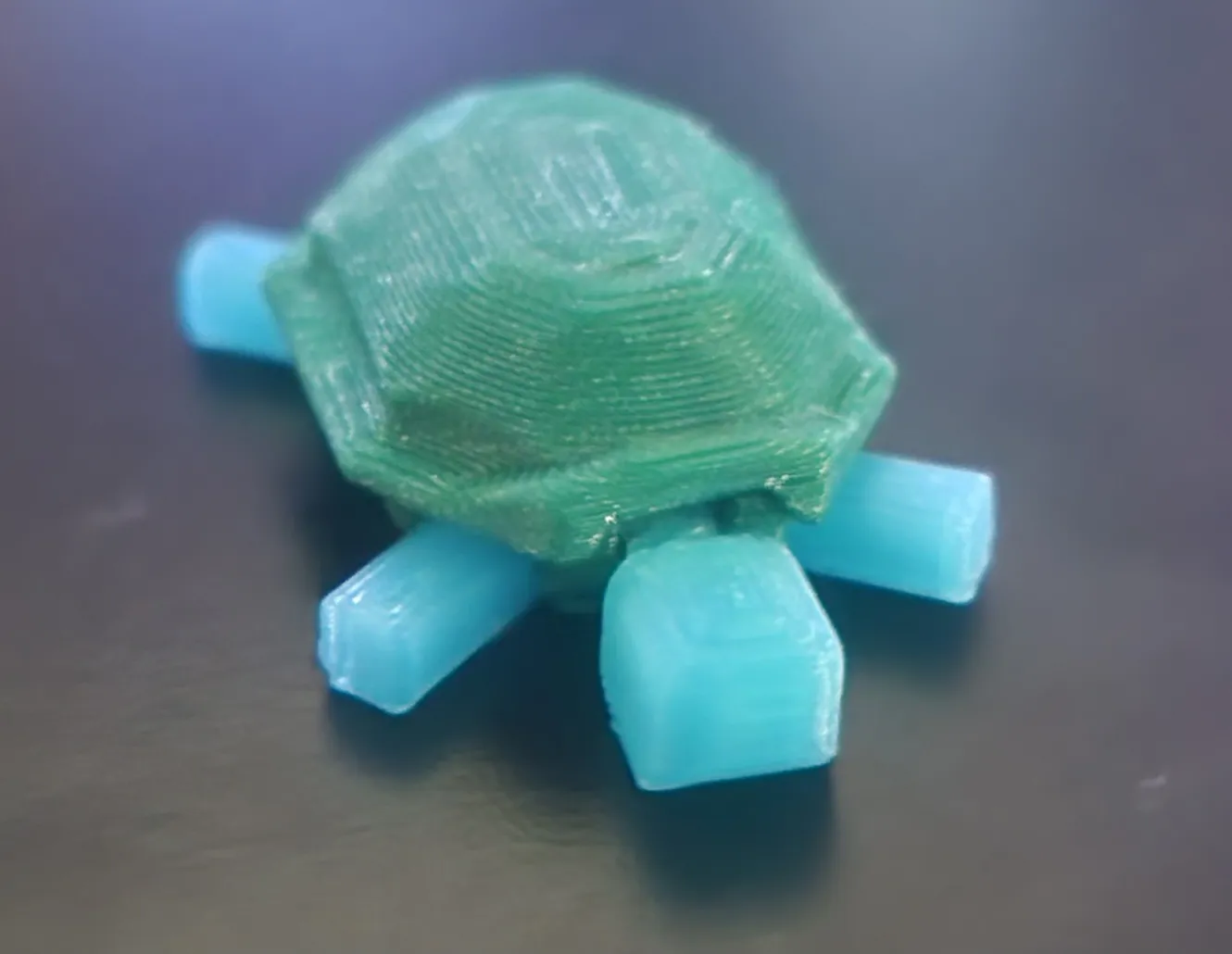 Đuôi Rùa Cứng Cáp