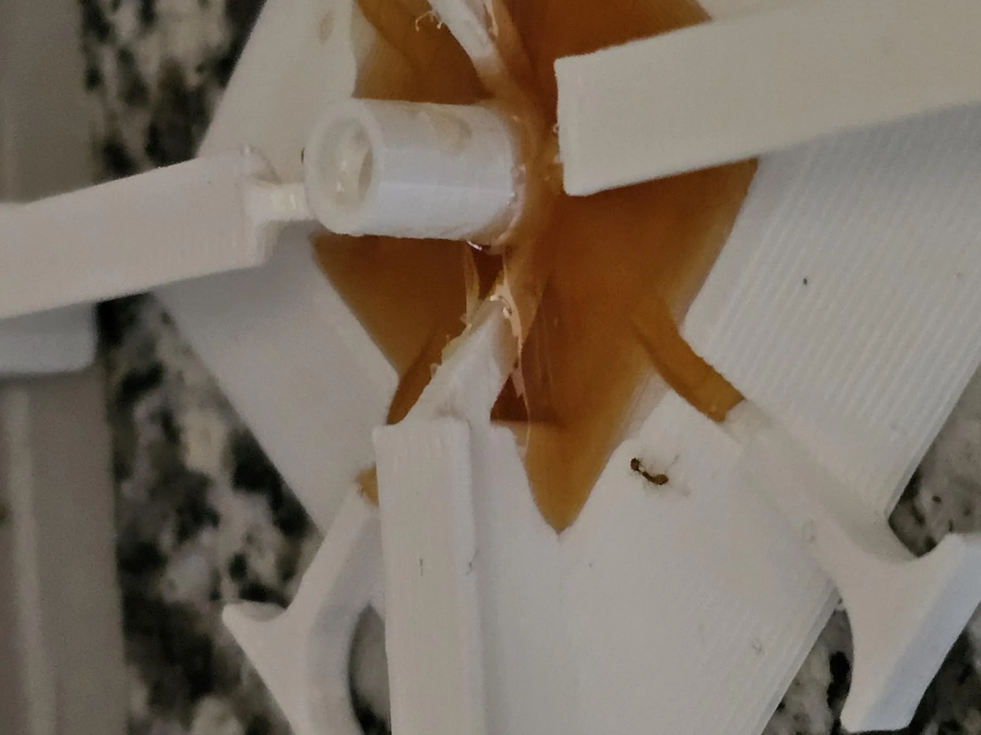 Tiêu đề Bẫy kiến bằng chất lỏng được thiết kế độc đá