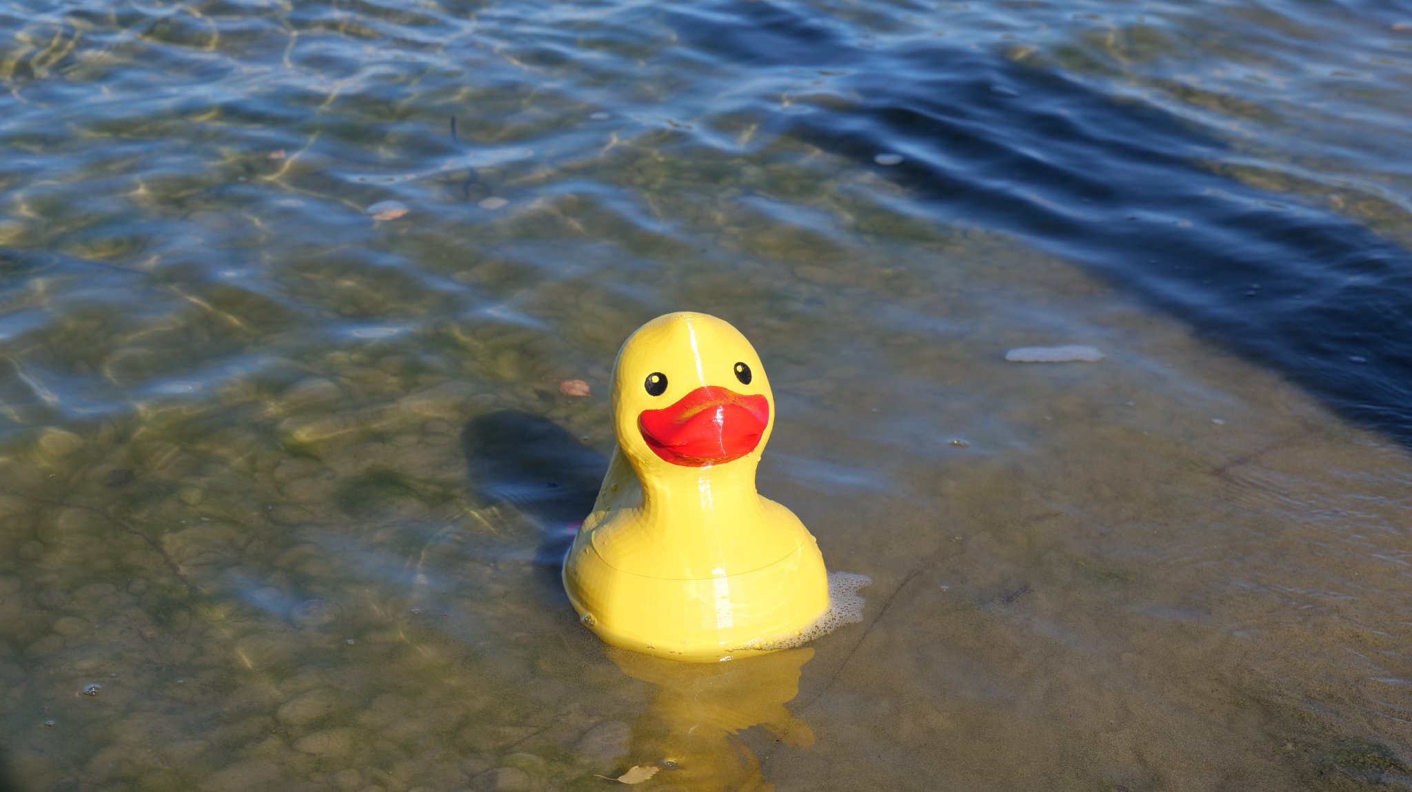 Tiêu đề Renè Ruber Duck Tóm tắt Mô hình vịt cao su điều khiể