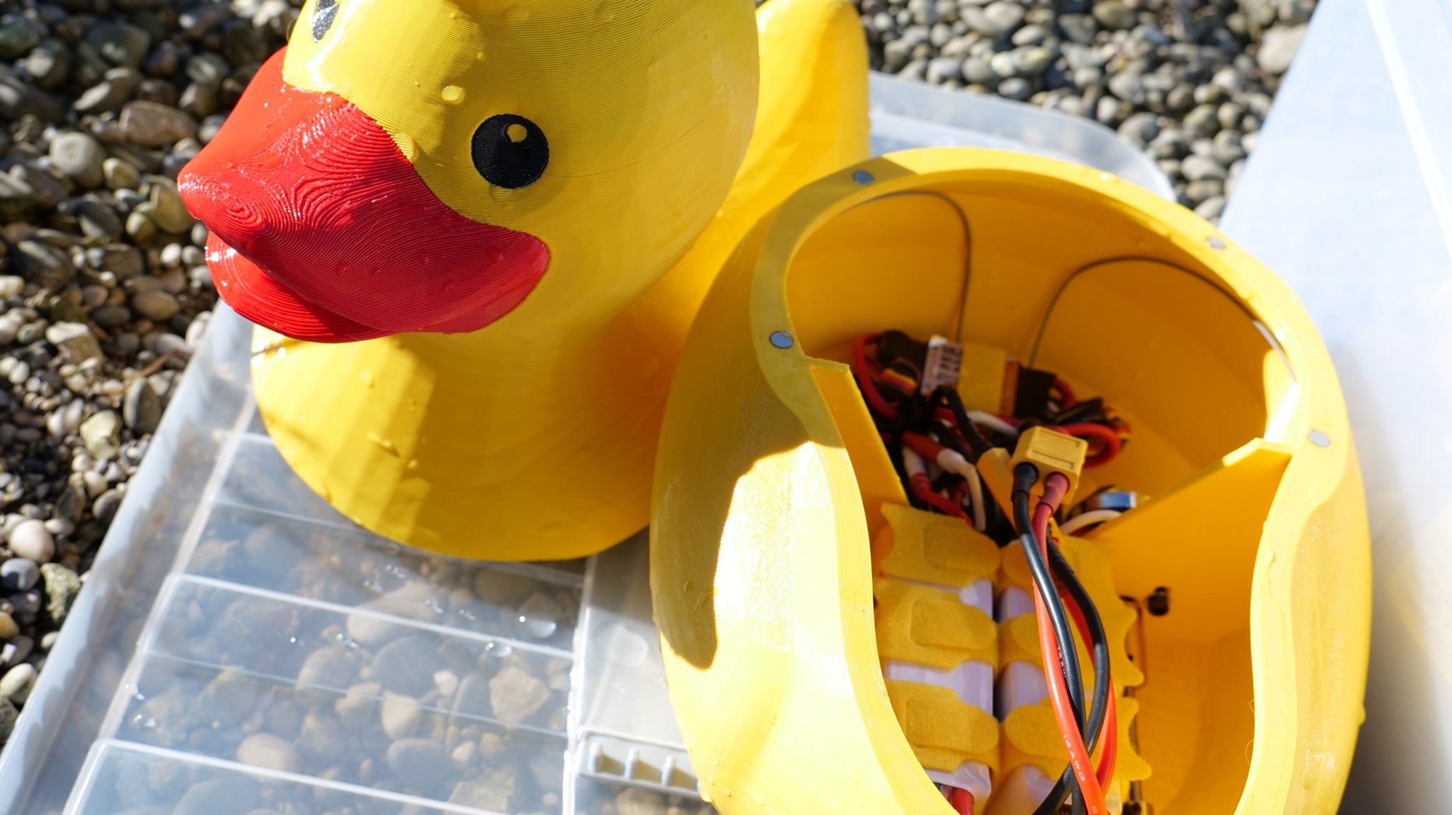 Tiêu đề Renè Ruber Duck Tóm tắt Mô hình vịt cao su điều khiể