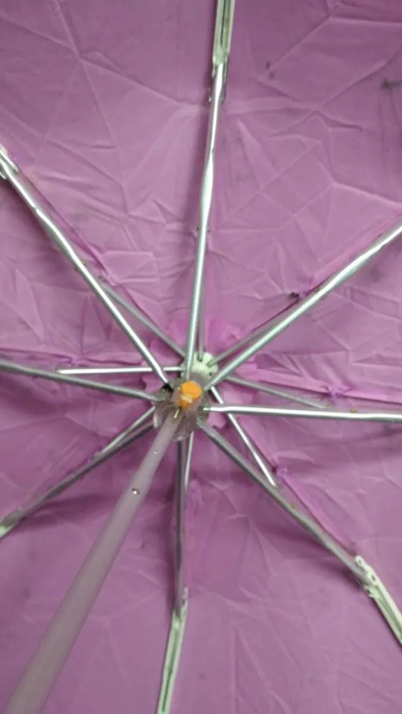 Tiêu đề Nút ô Botón paraguas Tóm tắt Một khách hàng yêu cầu c