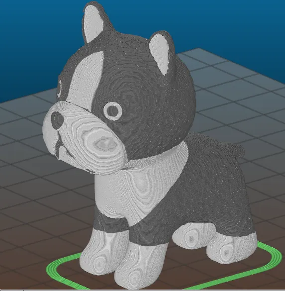 Boston terrier - dual color