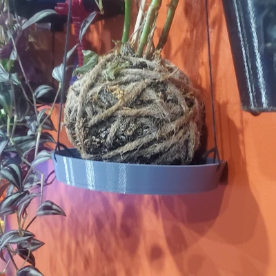 Đế Treo Tường Chậu Cây