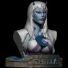 Chilla Lunatacs Thundercats Villains collection busts fanarts CG Pyro STL - Thumbnail 1