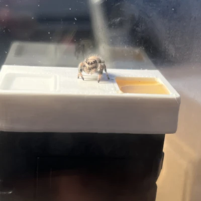 SpiderBar - Phụ kiện cấp nước và mật ong cho nhện nhảy