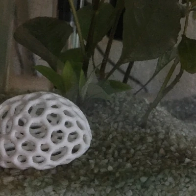 Nơi trú ẩn cho cá - Dễ, nhanh và nhỏ