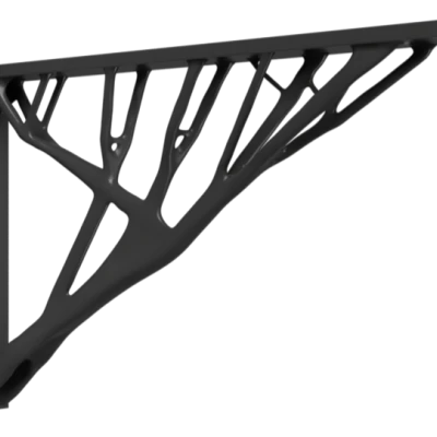 Giá Đỡ Kệ Thiết Kế Tạo Sinh