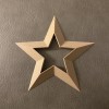 Ngôi sao Giáng sinh - Sao trong sao / Weihnachtsstern - Thumbnail 2