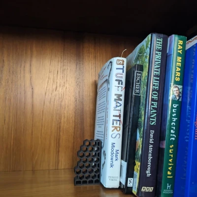 Chân đế sách hình lục giác