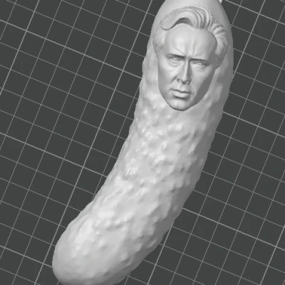 Nam châm lồng Picholas