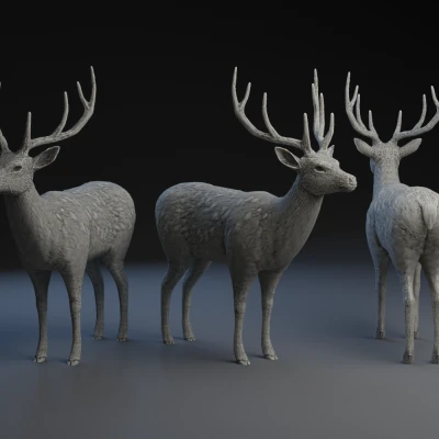 Mô hình Hươu đực / Nai sừng tấm