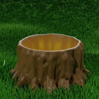 Chậu Cây Gốc Cây Mọng Nước