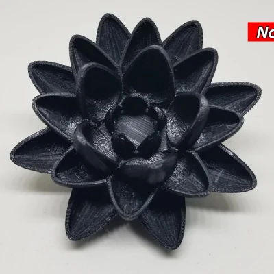 Mô Hình Hoa Sen Đen MTG - Đồ Chơi Bàn Làm Việc Magic The Gathering