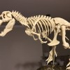 T-Rex Skeleton đã sửa và có thể in được - Thumbnail 1