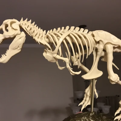 T-Rex Skeleton đã sửa và có thể in được