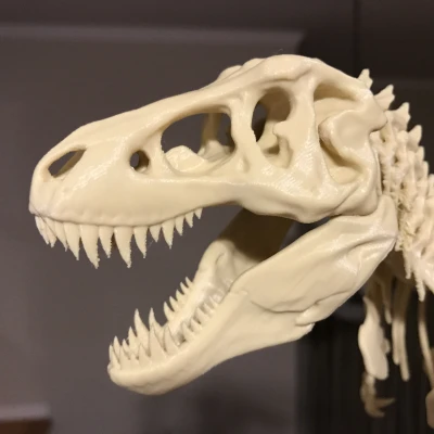 T-Rex Skeleton đã sửa và có thể in được