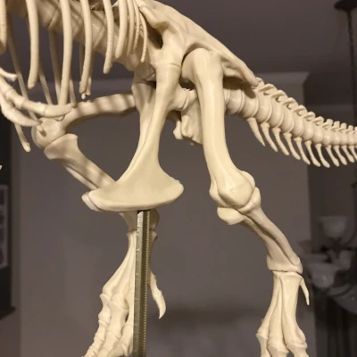 T-Rex Skeleton đã sửa và có thể in được