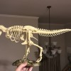 T-Rex Skeleton đã sửa và có thể in được - Thumbnail 4