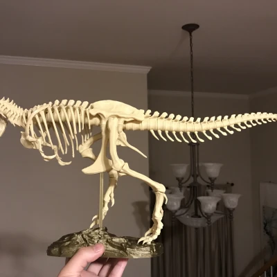 T-Rex Skeleton đã sửa và có thể in được