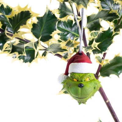Đồ trang trí Giáng sinh Grinch