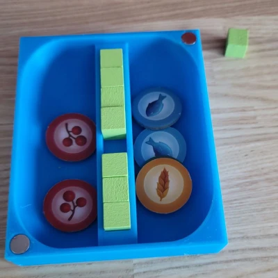 Hộp người chơi và mục tiêu từ tính cho Wingspan