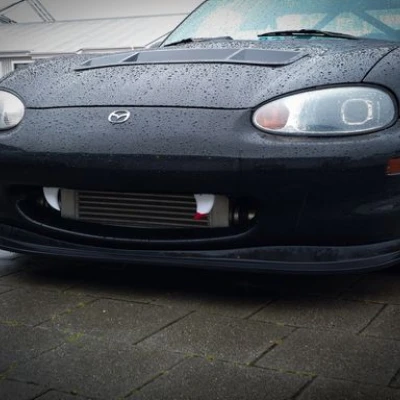 Răng Halloween cho xe hơi