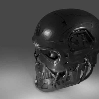 Đầu T800 Lucky 13