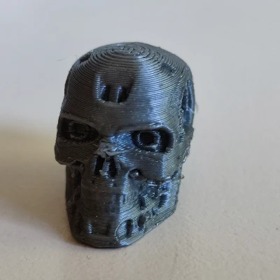 Đầu T800 Lucky 13