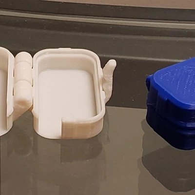 Hộp đựng bàn chải đánh răng Travel Case In liền