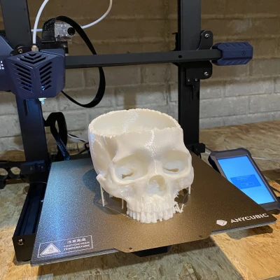 Tô Kẹo Đầu Lâu Thực Tế | Trang Trí Halloween Hình Đầu Lâu