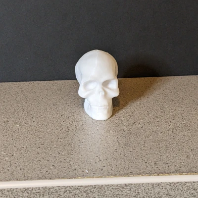 Một bộ xương đầu người tí hon