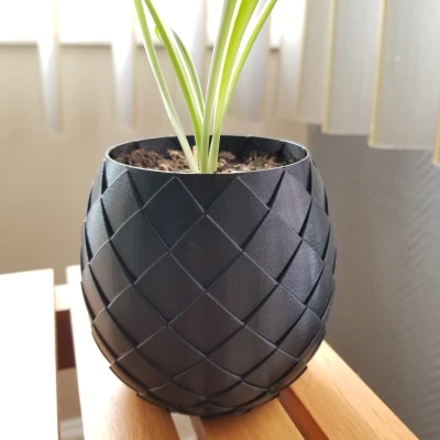 Chậu cây trứng rồng