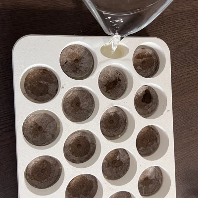 Chậu Jiffy Garden - Khay ươm hạt tiện lợi