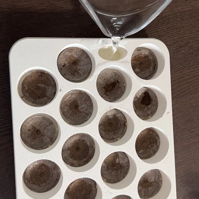 Chậu Jiffy Garden - Khay ươm hạt tiện lợi