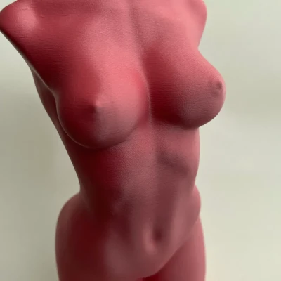 Phụ Nữ Xinh Đẹp Nude NSFW - Bản Tải Lên STL