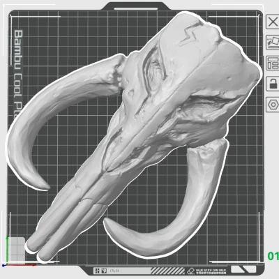 Đầu Lâu Mythosaur Star Wars