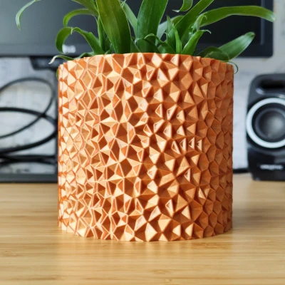 Chậu Pyrite Voronoi - Thiết kế chế độ Vase