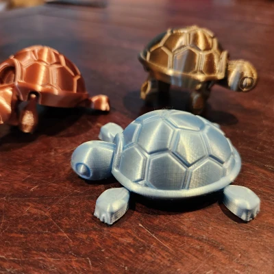 Rùa Con Dễ Thương (Cutie Baby Turtle) Có Khớp Nối