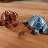 Rùa Con Dễ Thương (Cutie Baby Turtle) Có Khớp Nối - Thumbnail 5