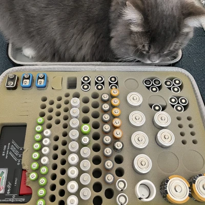 Hộp đựng pin LR44 cho khe cỡ pin AA