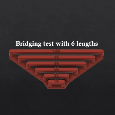 Kiểm tra Cầu nối