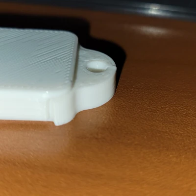 Hộp Đựng Pin Máy Trợ Thính 312 (Màu Nâu) Kèm Móc Khóa